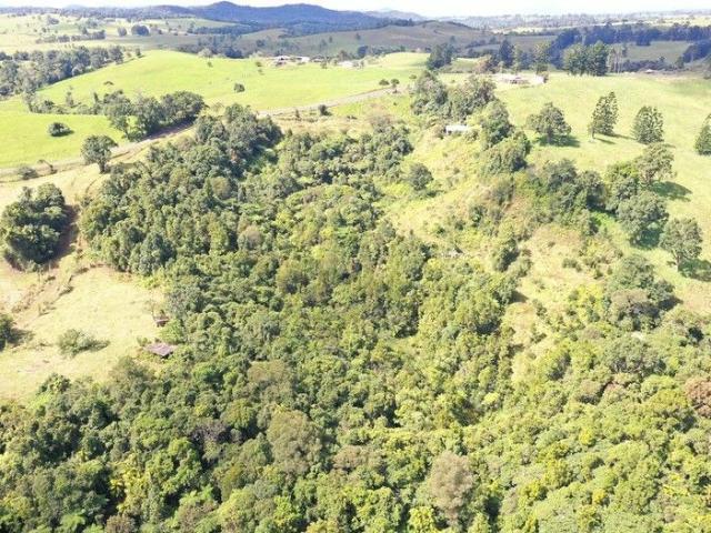 Rainforest, River and Privacy