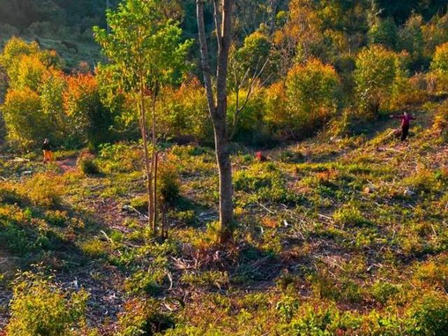 RAIOS DE SOL – DELFIM MOREIRA/MG ️