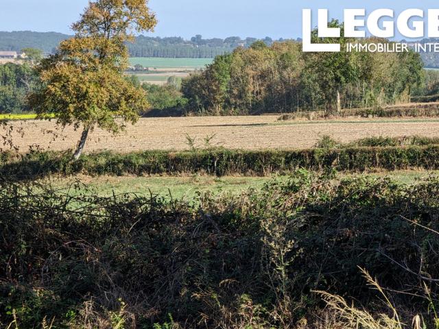 Rare maison de 4 chambres avec gîte de 3 chambres, vue dégagée et sans voisins proches