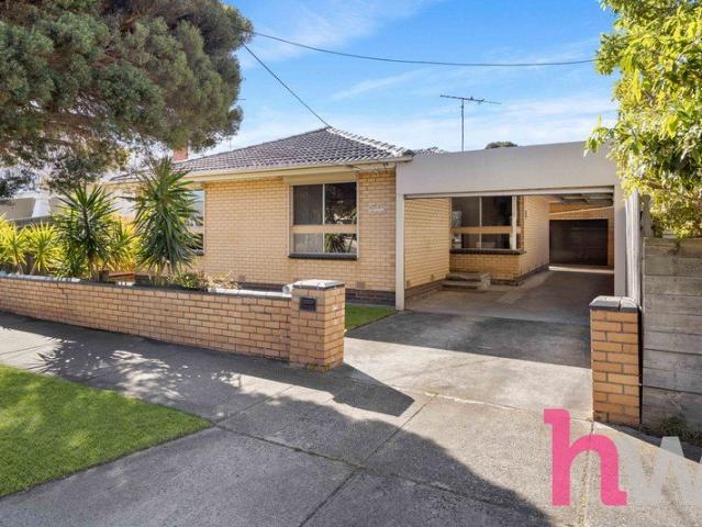 Rare Newtown Opportunity on 584m²