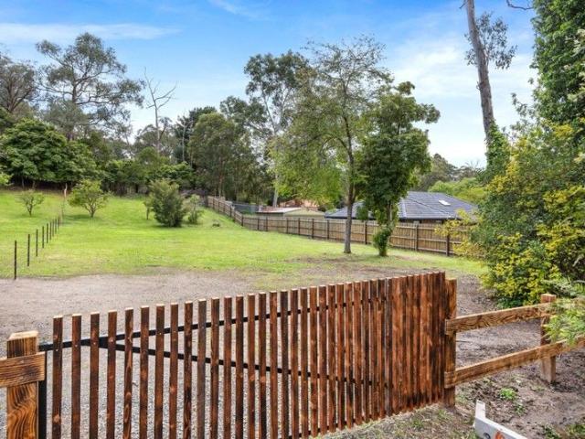 Rare Offering, Lush Vacant Land