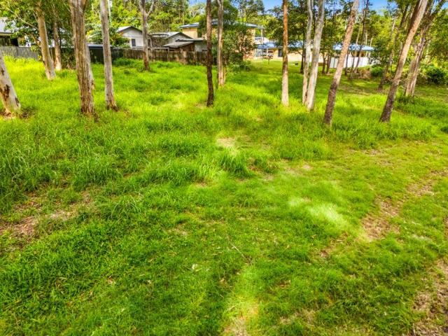 Rare Opportunity on a Generous 1,225sqm Block