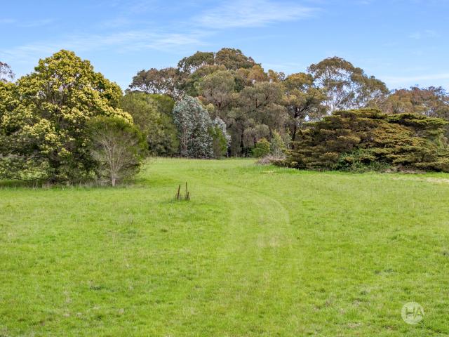Rare Opportunity On 10 Acre Allotment