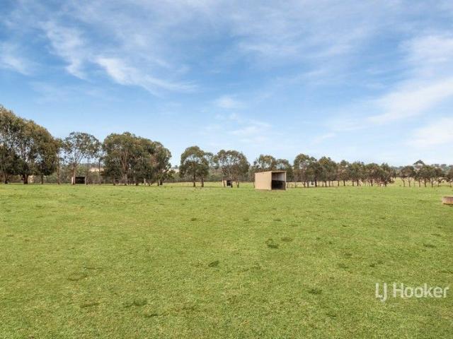 Rare Opportunity: 33 Acres of Serenity with Endless Potential!
