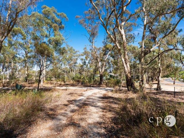 Rare Opportunity ½ Acre in Prime Location