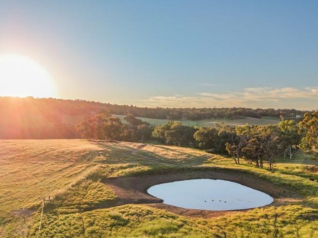 Rare Opportunity 100 acres of pristine farming land