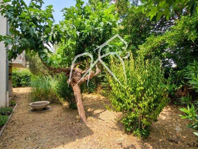 Rare à Montpellier Aiguerelles | Maison 8 pièces 230 m² avec piscine et terrain de 1 100 m² | fort potentiel – nombreux aménagements possibles