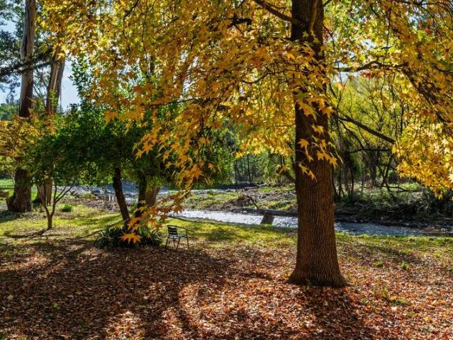 Rare Absolute River Frontage
