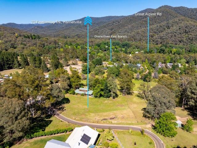 Rare Acre Block with Elevated Valley Views and Space for a Large Family Home