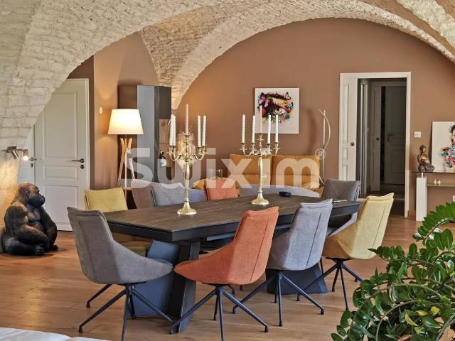 RARE: appartement de standing spacieux 278m² Dole
