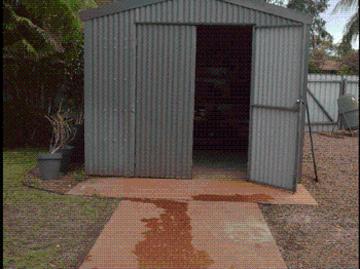 House to rent in Dampier Archipelago - Garden