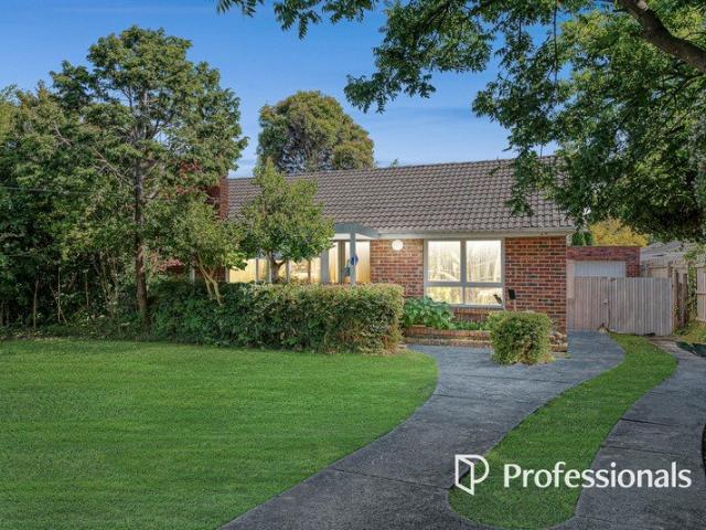 Rare Blue Chip Development Opportunity in the Heart of Ringwood GRZ1/DDO3 Potential on 725sqm Approx