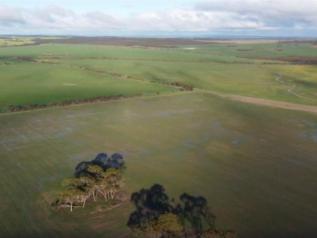 Newdegate, Rare Chance to Expand Locally