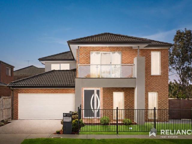 5 Bedrooms | 525sqm Corner Block | Dual Master Suites | Park front in the Alamanda