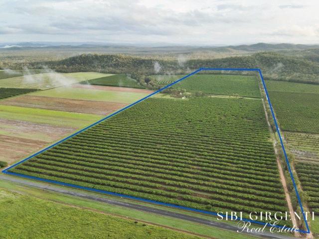 Rare Creekfront Land 77.6 Acres on Beautiful Shanty Creek
