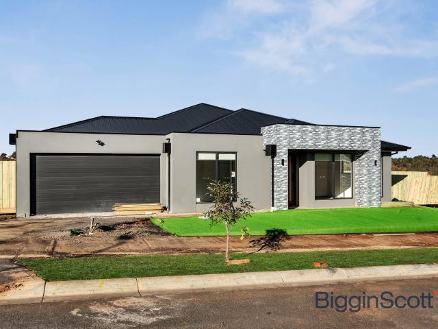 Rare Dual Living Opportunity 6 Bedroom Family Residence with two Kitchens!