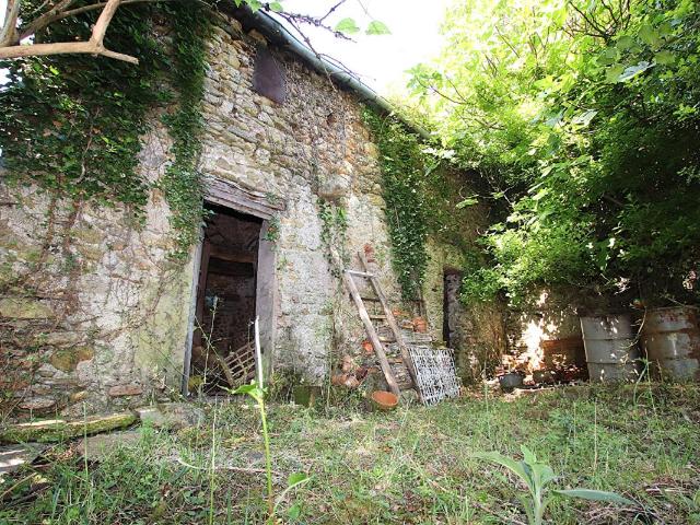 RARE Demeure de caractère de 300 m² à rénover sur 5 385 m² de terrain