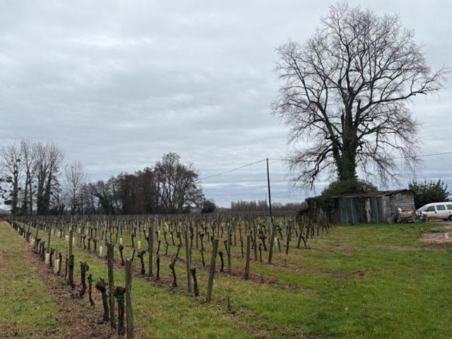 RARE: Devenez propriétaire de votre Micro Château en AOC Saint Émilion