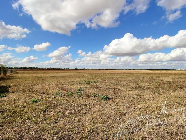 Rare ! Fermette avec dépendances et 7900 m² de terrain environ