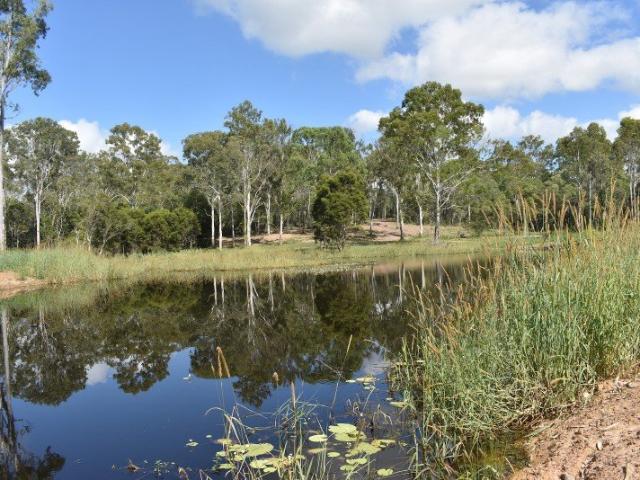 Rare Find, Vacant Acreage