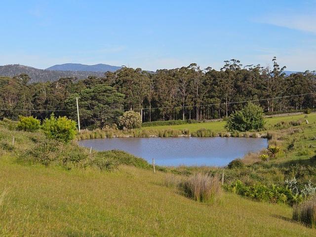 Rare Lymington land release