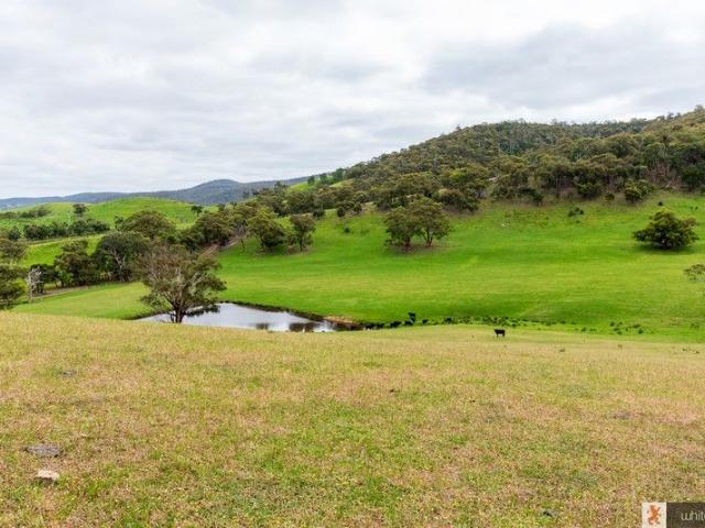 Rare large acreage 39.39 ha 100 acres with Planning Permit