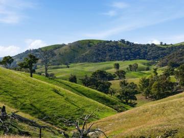 Rare Large Acreage Opportunity Close to the ACT Border