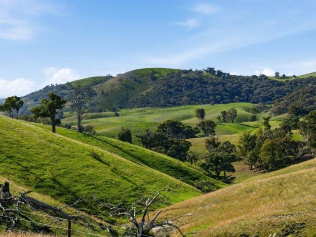 Rare Large Acreage Opportunity Close to the ACT Border