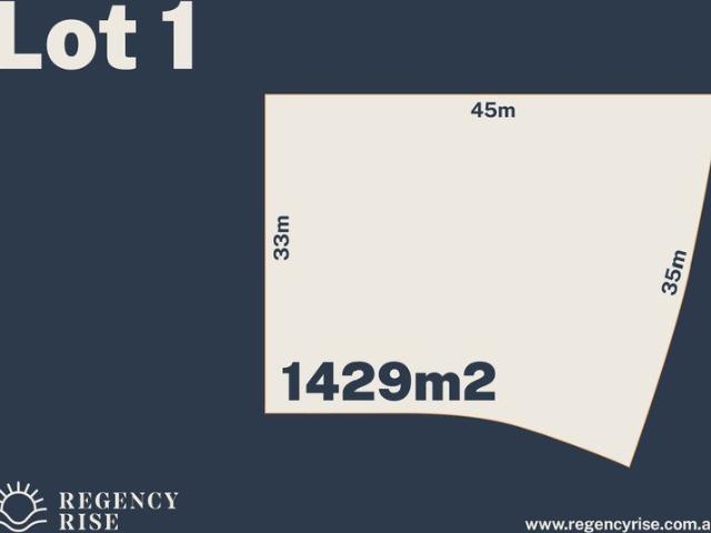 RARE LARGE LOT RELEASE REGENCY RISE