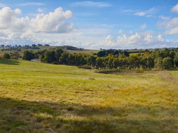 Rare Lifestyle Acreage with DA Approval