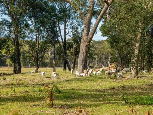 Rare Lifestyle Oasis with Waterfall & Water Licence