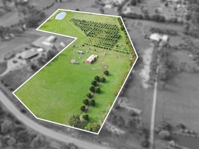 Rare Lifestyle Opportunity with Established Olive Grove