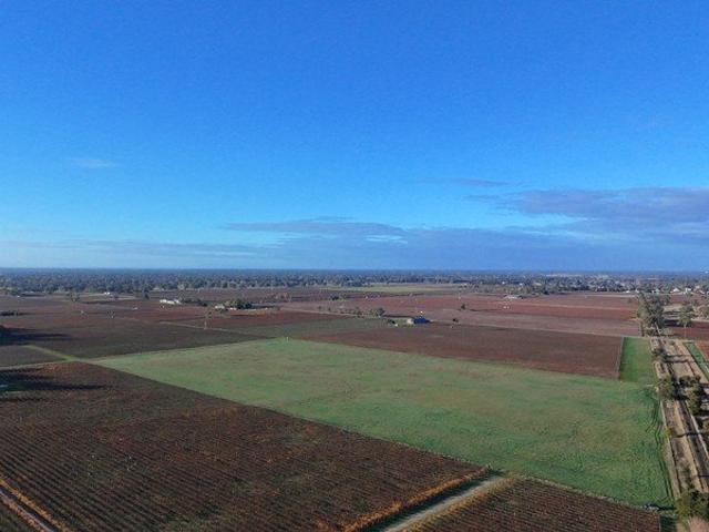 Rare Lifestyle Opportunity Just Minutes From Penola