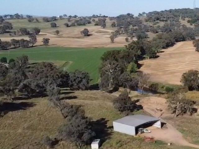 Rare River Frontage4km to Town with Self Watering Flats + Irrigation Bore