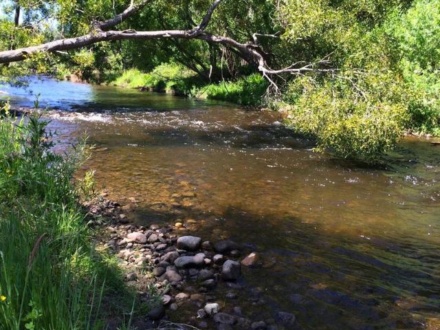 Rare Riverfront Property on the Rubicon River