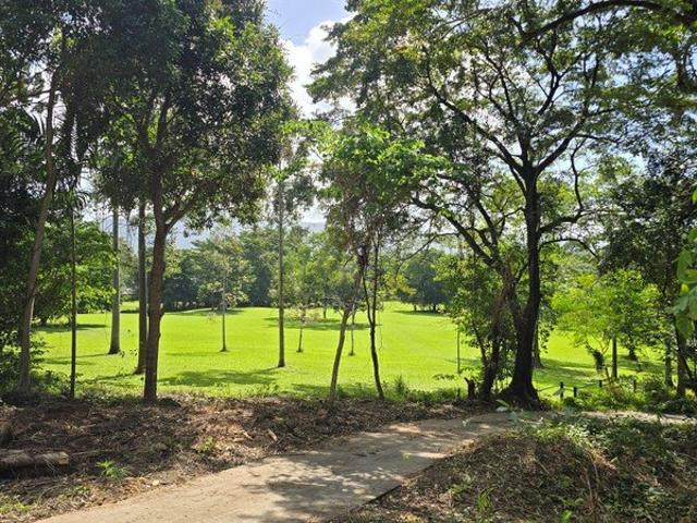 Rare Stratford Landholding | 8.56ha of Privacy & Potential