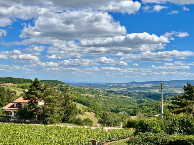 RARE SUR LA COMMUNE DE OINGT: VUE EXCEPTIONNELLE CALME A