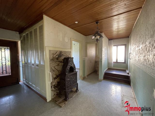 RARE sur le marché ! Maison avec dépendances sur un terrain de plus de 50 ares en lisière de champs !