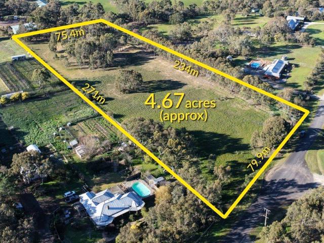 Rare Sanctuary with Private Dam & Established Native Ecosystem