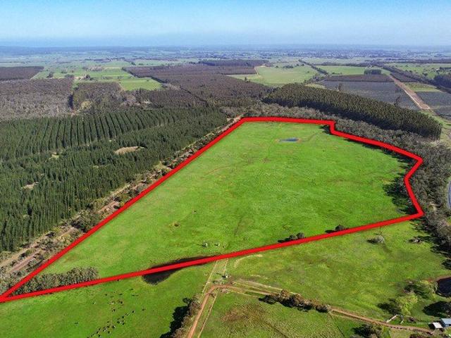 RARE SIZED RESPONSIVE OUTPADDOCK
