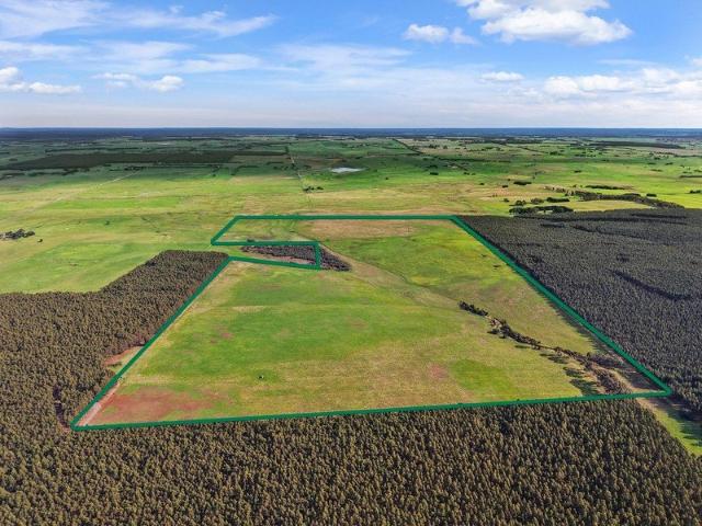 Rare South West grazing opportunity