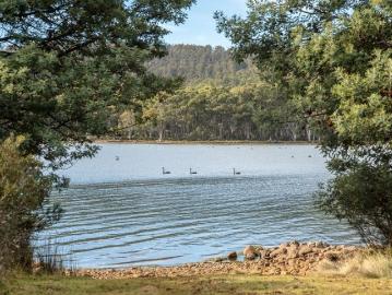 Bradys Lake, Central Highlands, Penguin Island, Cloudy Bay, Kingborough, Tasmania Island