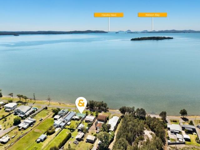 Where Calming Water Views Meet Swimming Dolphins