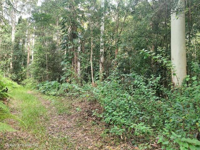 Rare 19 Acre Hinterland Escape Off Grid Living with Creek, Views & Endless Potential
