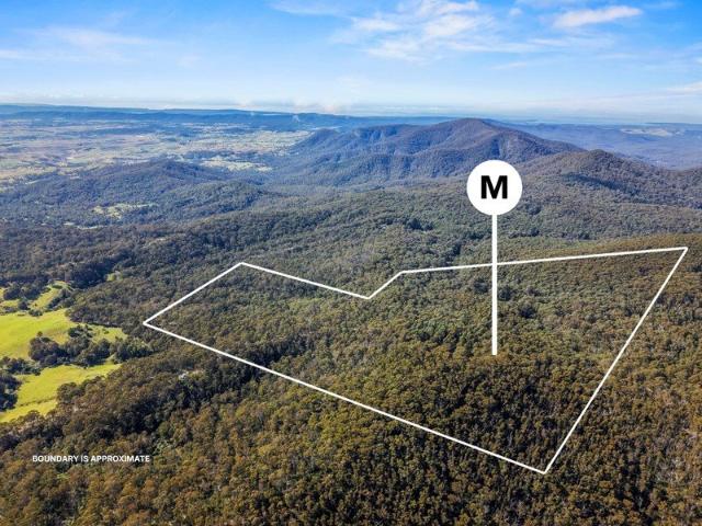 Rare 100 Acre Myrtle Mountain Escape Private, Peaceful & Full of Potential