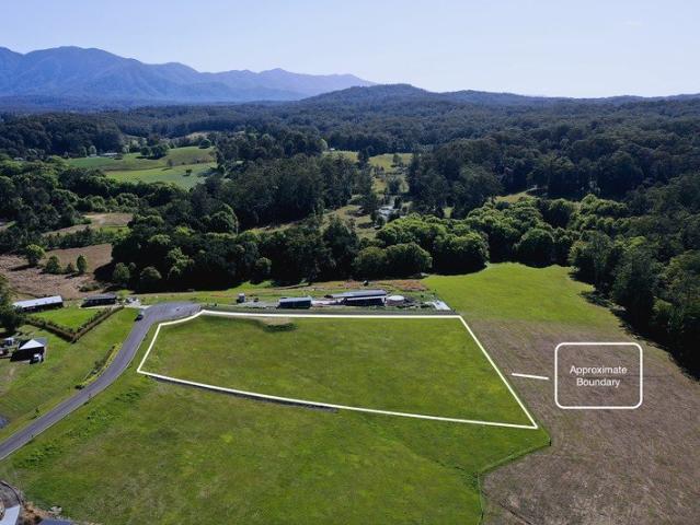 Rare 1 hectare 2.5 acre parcel of land just 3.6km from the Bellingen town centre