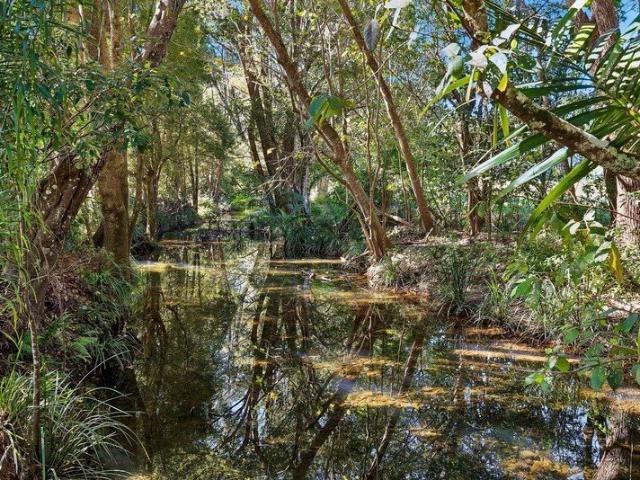 Rare 2.04 Hectare Creek Access Opportunity in Sought After Upper Crystal Creek