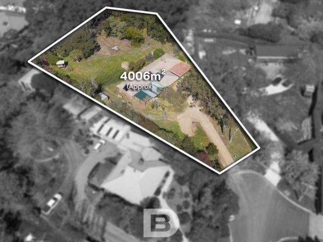 Rare 4,006sqm approx. Opportunity in Gisborne