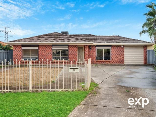 Rare 887m² Family Entertainer with Huge Backyard & 3 Sheds