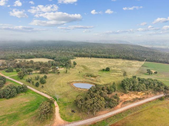 Rare 80 Acre Lifestyle Block with Bore, Dams & Infrastructure Ready to Go